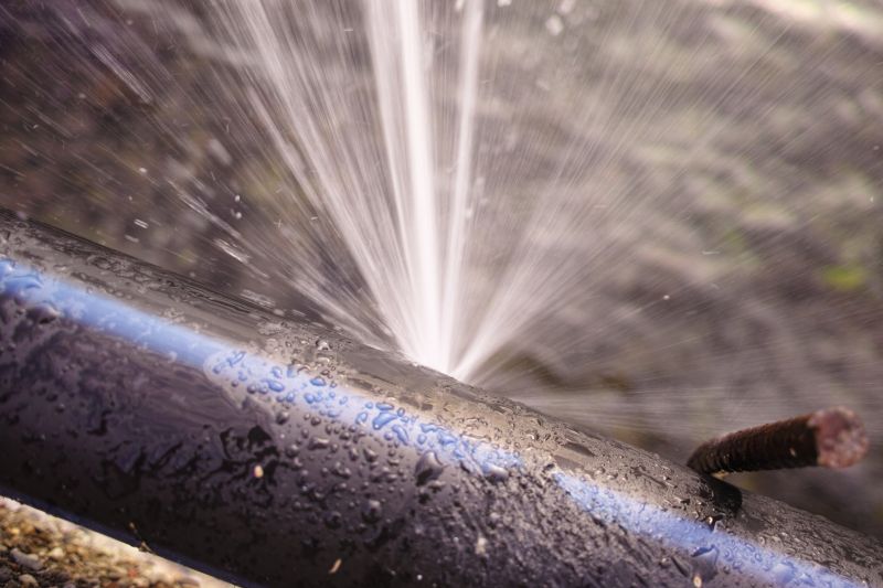 Bidet Repair Service in Denver, CO